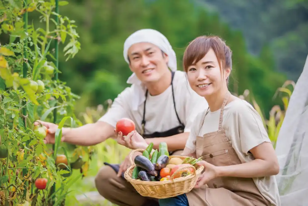 夜久野野菜